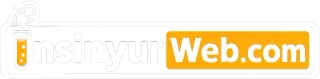 InsinyurWeb